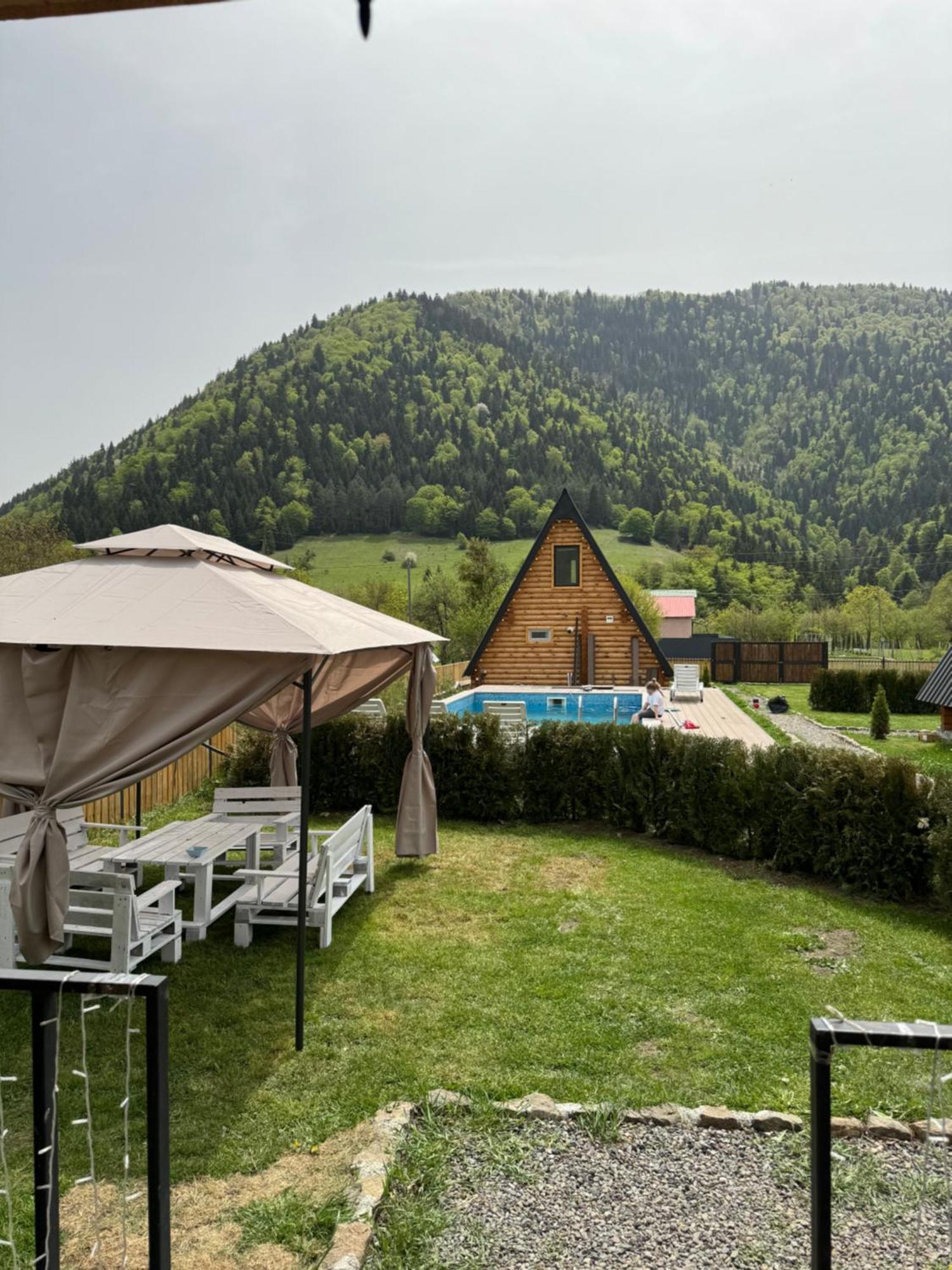 Eco In Borjomi With Pool 1 بيت للعطل