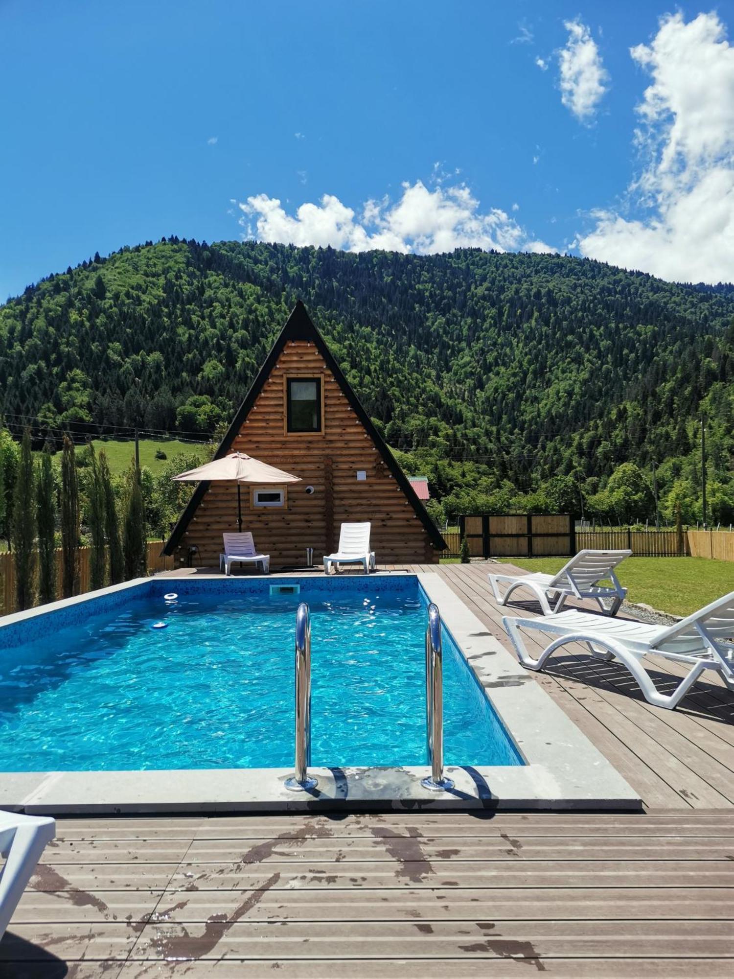 Eco In Borjomi With Pool 1 بيت للعطل Sadgeri